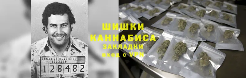 как найти наркотики  Нефтегорск  Конопля OG Kush 